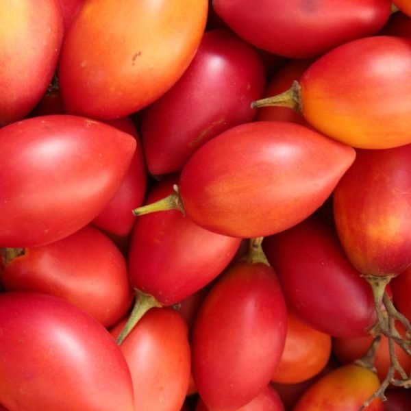 Tamarilho