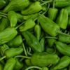 pimento padrão
