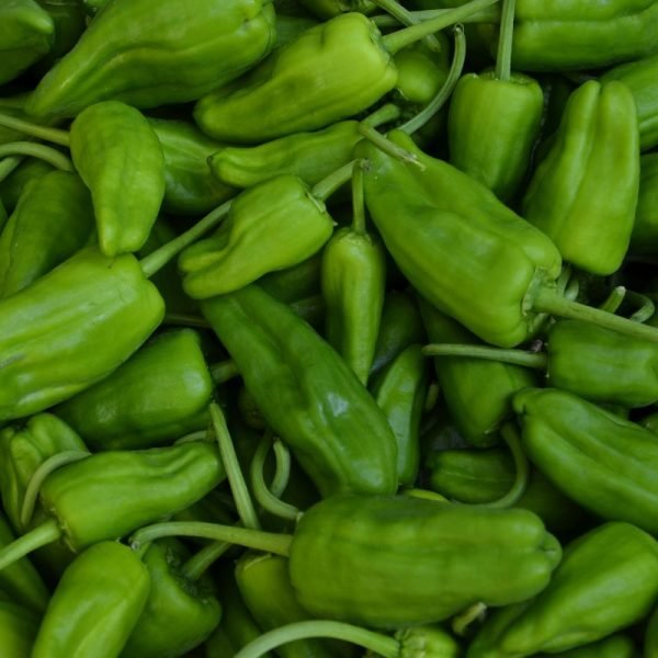 Pimento Padrão