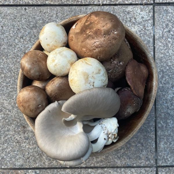 Mix de Cogumelos
