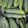 Pepino - 0,5kg