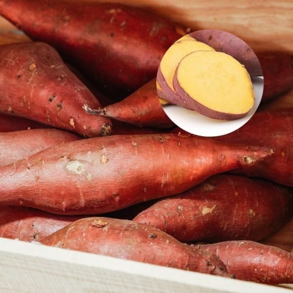 Batata Doce (amarela)