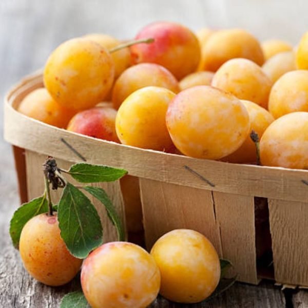 Ameixa Mirabelle