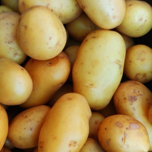 Batata Spunta